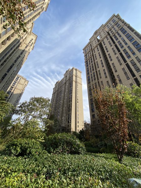 中联创橄榄城伍号院