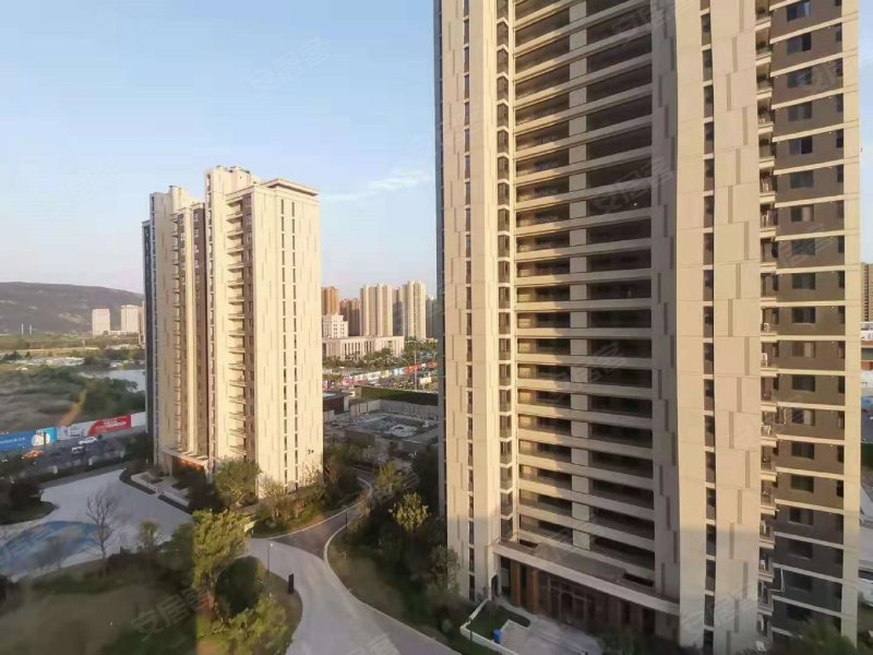 财信铂悦府,学林路,近金辉路-连云港财信铂悦府二手房,租房,房价