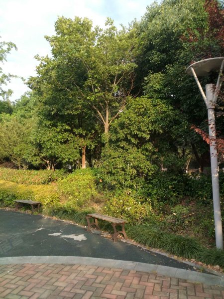 双湖湾花园海和院,东华林街,近塘浦路-苏州双湖湾花园海和院二手房