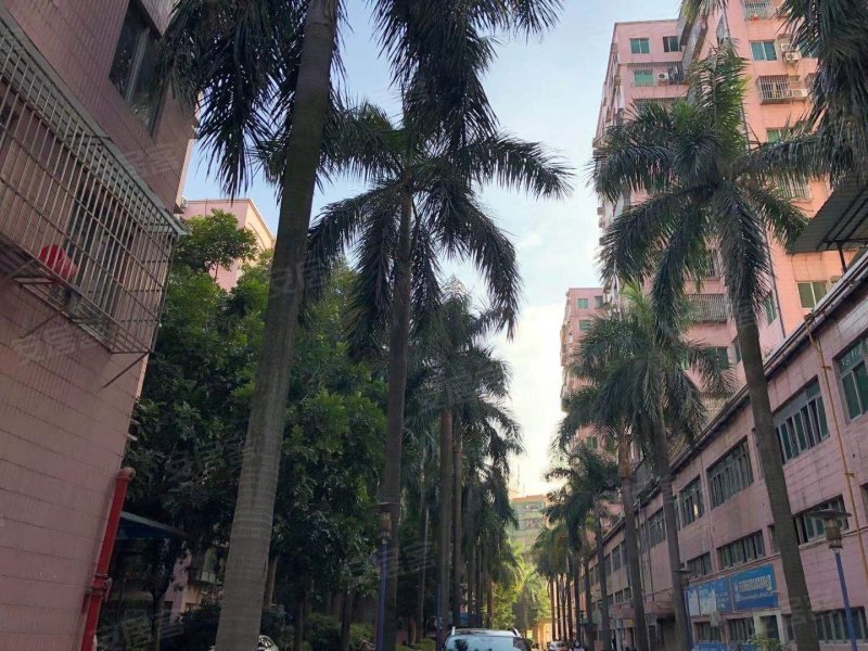 加州花园(万江)