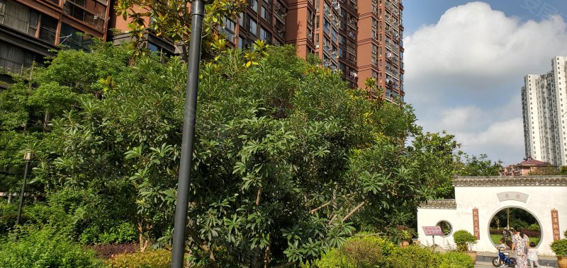 紫金城(三期),朱湖路108号-南昌紫金城(三期)二手房,租房,房价-南昌