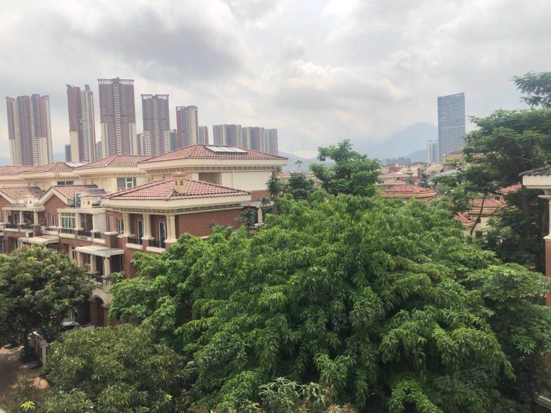 振业城(北区别墅),深惠路-深圳振业城(北区别墅)二手房,租房,房价