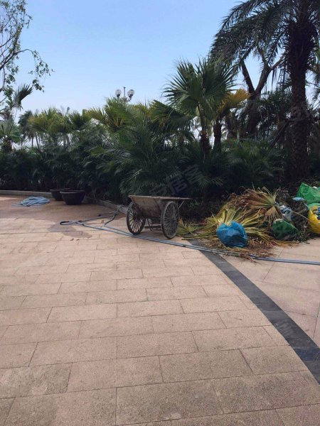 金域时代,情侣中路189号-珠海金域时代二手房,租房,房价-珠海安居客