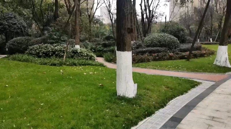 科甲大厦,正科甲巷48号-成都科甲大厦二手房,租房,房价-成都安居客