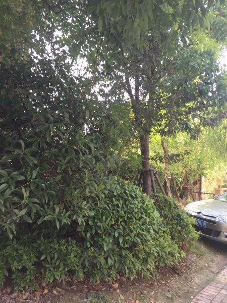 御沁园(西区公寓住宅) 