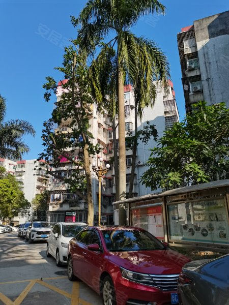 竹苑,九洲大道中2108号-珠海竹苑二手房,租房,房价-珠海安居客