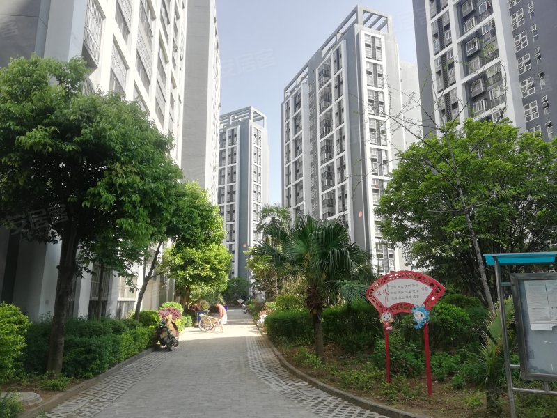 观山悦