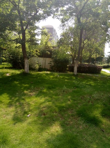 南湖景苑,雄楚大道352号-武汉南湖景苑二手房,租房,房价-武汉安居客