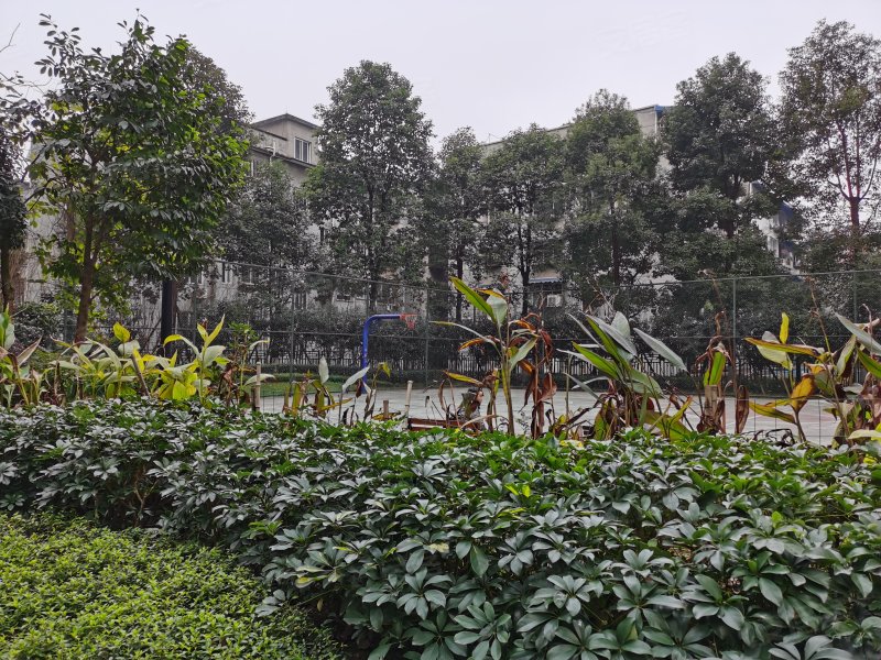 嘉州长卷天玺,碧山路2388号-乐山嘉州长卷天玺二手房,租房,房价-乐山