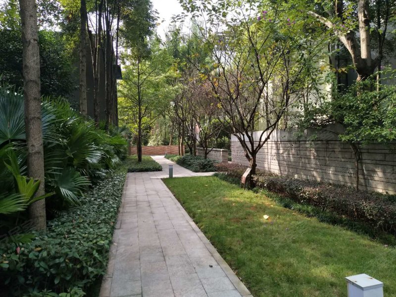 龙湖睿城(a区别墅),大学城中路20号-重庆龙湖睿城(a区别墅)二手房