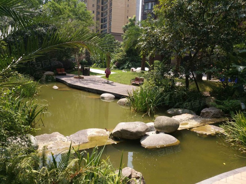 观棠晓月(一期)