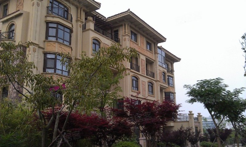 唐岛金湾(别墅)