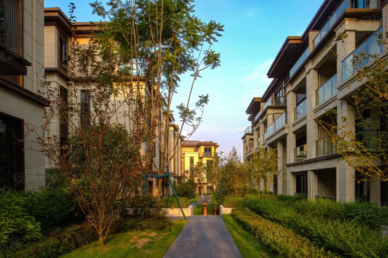 金科御临河(别墅)