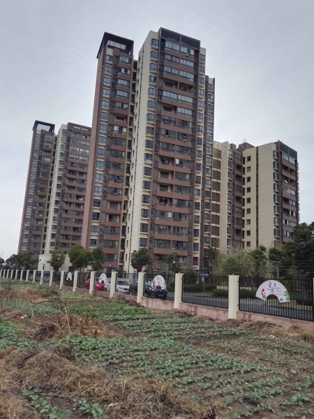 凯德新视界(一期) 