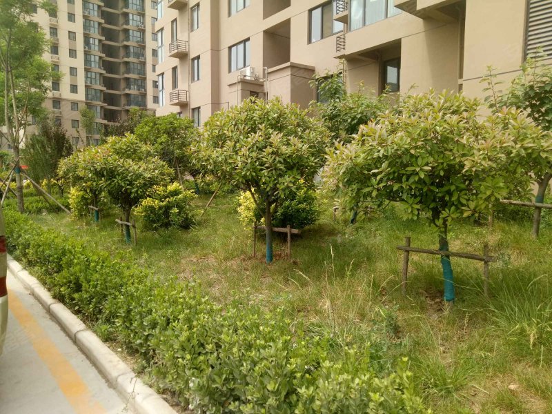 龙翔花园,建设西路-郑州龙翔花园二手房,租房,房价-郑州安居客