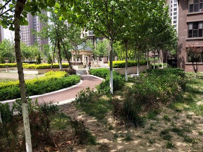 逸城雅园小区图片相册,天津逸城雅园实景图,室外图,小区配套图-天津