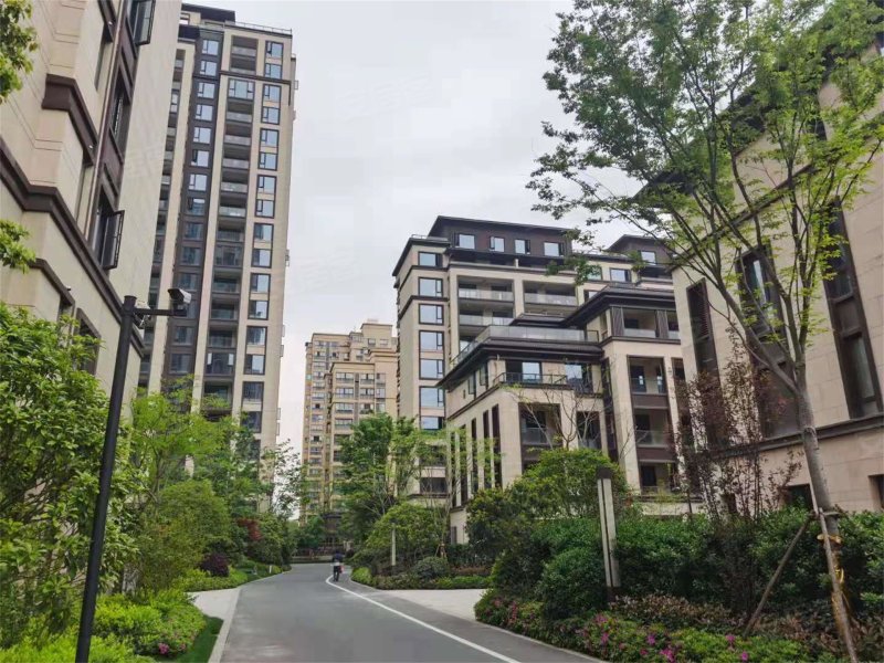 祥生湛景观棠府