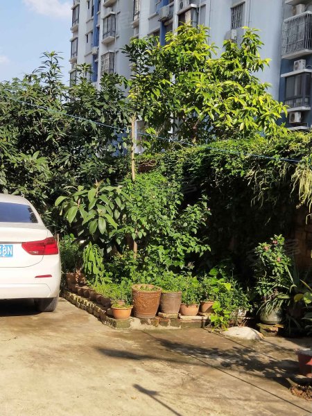 翠竹苑(西乡塘),沈阳路44-8号-南宁翠竹苑(西乡塘)二手房,租房,房价