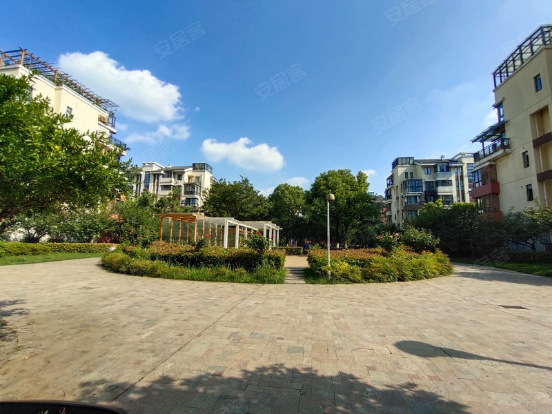 阳光城市花园b区