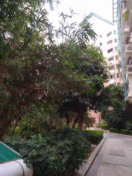 阳光丽景,宝洲街254号-泉州阳光丽景二手房,租房,房价-泉州安居客