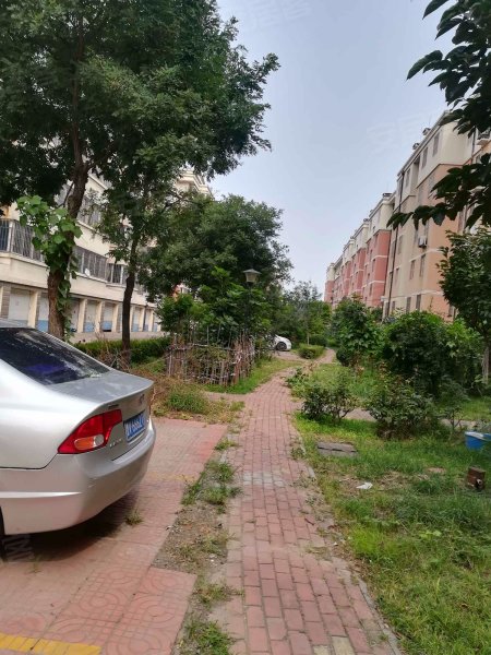 怡馨家园,胜利西街-潍坊怡馨家园二手房,租房,房价-潍坊安居客