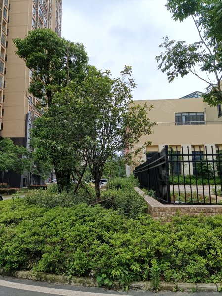 智苑小区,流港路100号-武汉智苑小区二手房,租房,房价-武汉安居客