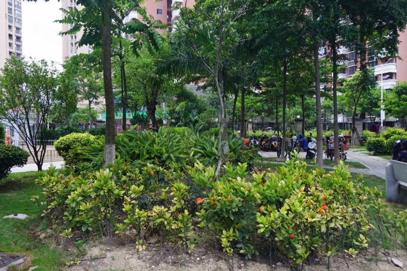 滨水小区(一期),滨水一里88-110号-厦门滨水小区(一期)二手房,租房