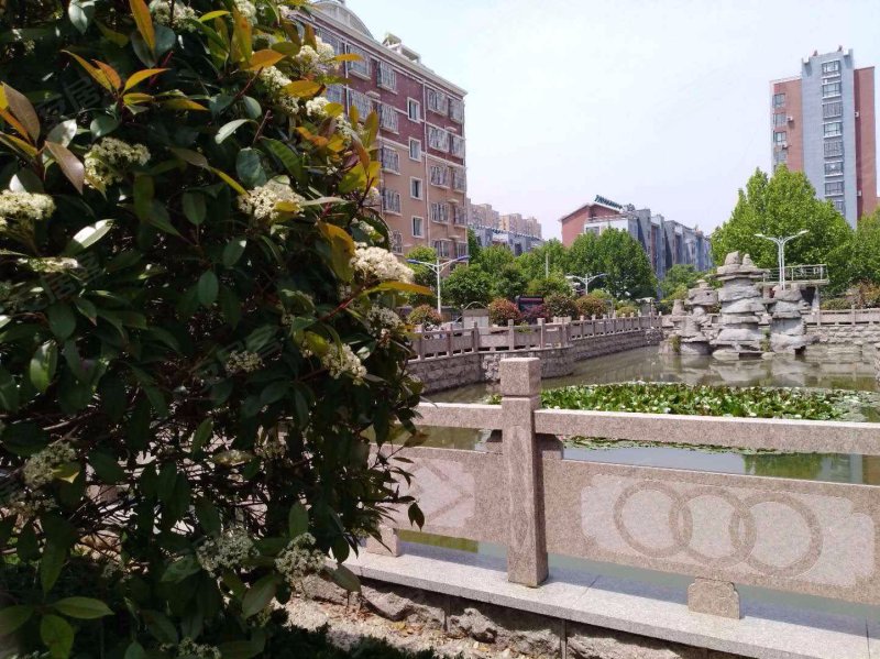 阳光丽景(临沭)