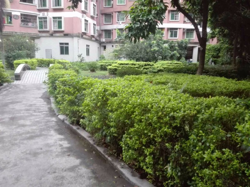 天雅居教师小区