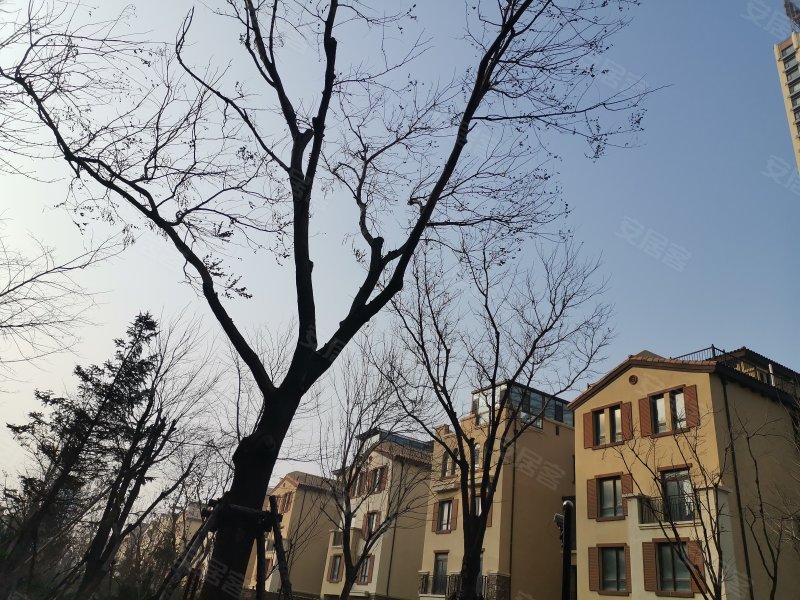 龙湖听蓝湾,滨海路653号-烟台龙湖听蓝湾二手房,租房,房价-烟台安居客