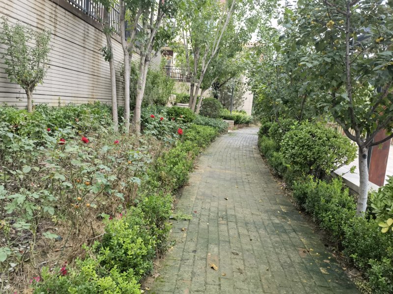 盛世天湖,李田路-聊城盛世天湖二手房,租房,房价-聊城安居客