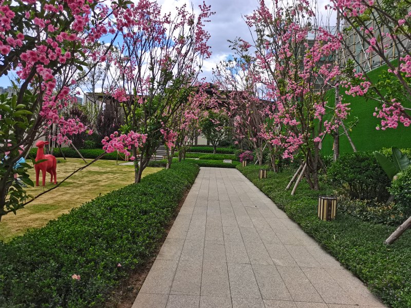 万景彝海学府,彝海东路-三亚万景彝海学府二手房,租房,房价-三亚安居