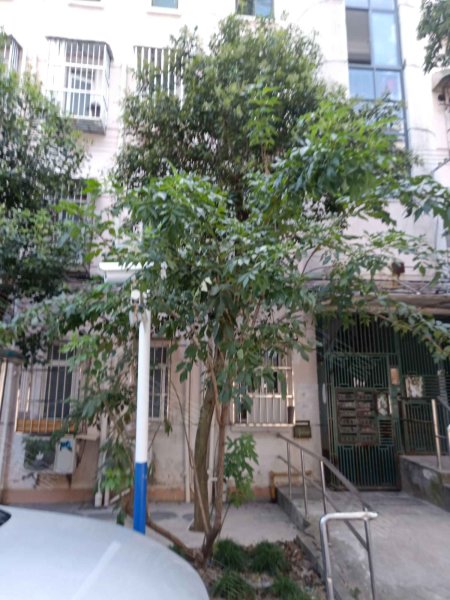 浦三路650弄小区 