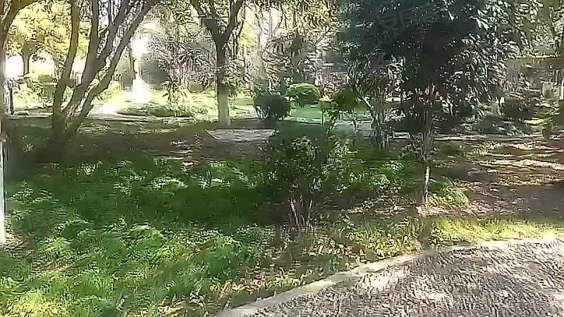 淞南五村(261-276号) 