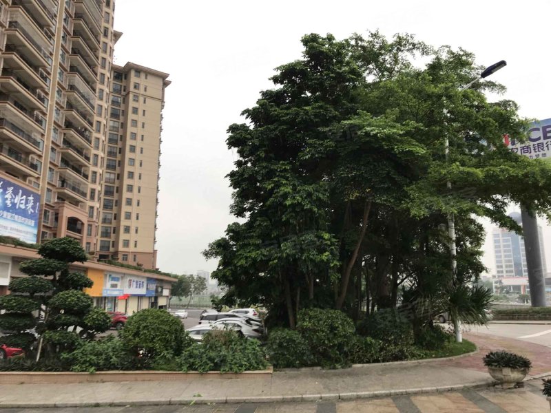 星河湾畔,荣誉市民大道-江门星河湾畔二手房,租房,房价-江门安居客