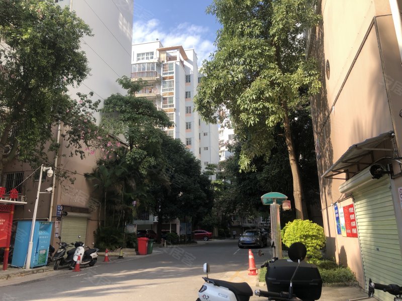 丽园小区,农院路10号-南宁丽园小区二手房,租房,房价-南宁安居客