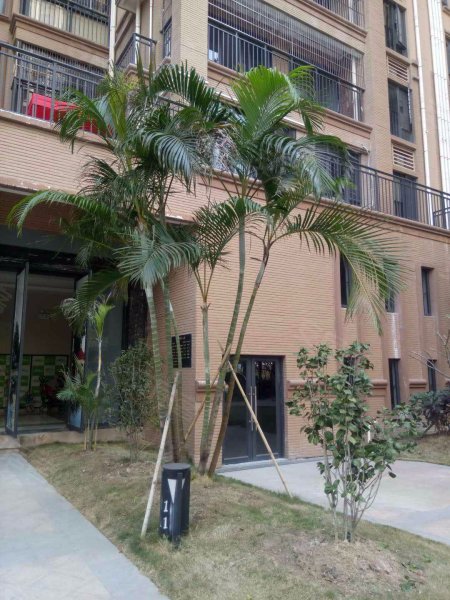 珑耀华府,蟾龙北路1号-佛山珑耀华府二手房,租房,房价-佛山安居客