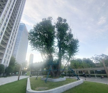 恒大水晶国际广场(华玺珠宝城A-Z1)