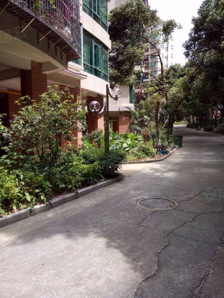 南厦丰泽园(南区),夏美路161号-珠海南厦丰泽园(南区)二手房,租房