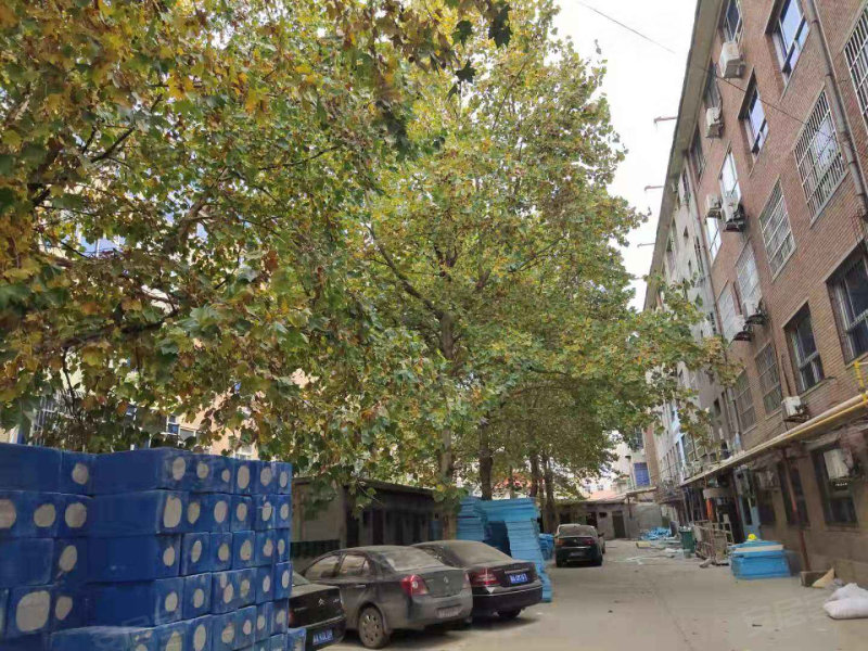 新苑小区(新乐,礼堂街-石家庄新苑小区(新乐)二手房,租房,房价