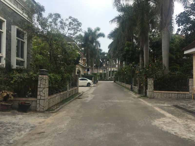 金叶岛(别墅),长平路888号-汕头金叶岛(别墅)二手房,租房,房价-汕头