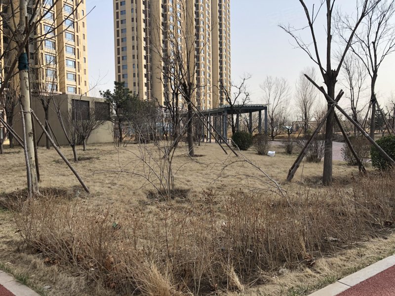 召里家园,召里西路1号-北京召里家园二手房,租房,房价-北京安居客