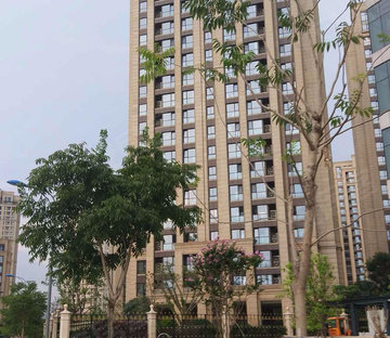 滨江钱塘印象(东区)