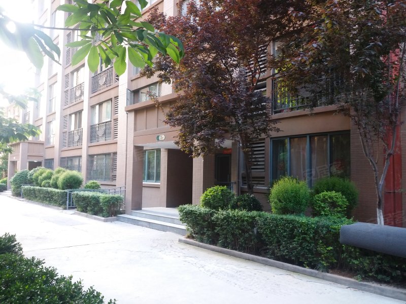常春藤花园(北区),兴庆南路-西安常春藤花园(北区)二手房,租房,房价