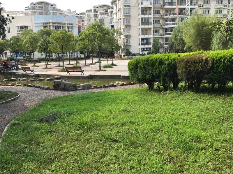 绿景苑,园林路79号-武汉绿景苑二手房,租房,房价-武汉安居客