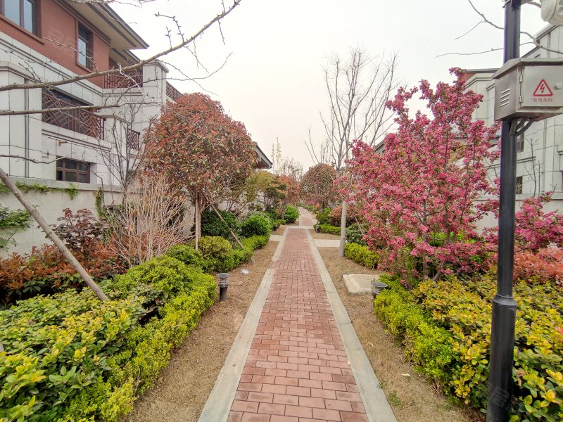 鸿顺御龙湾(别墅),火炬南路-济宁鸿顺御龙湾(别墅)二手房,租房,房价