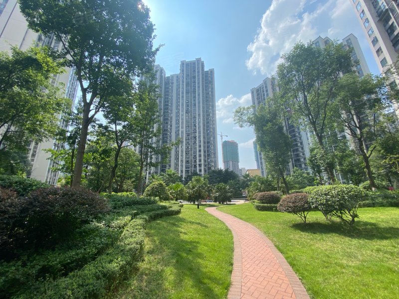 世豪广场,三苏路-乐山世豪广场二手房,租房,房价-乐山安居客