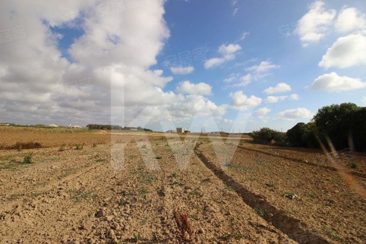 圣贝纳迪诺城市化土地 6.920m2