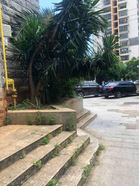 金华苑,海秀西路170号-海口金华苑二手房,租房,房价-海口安居客