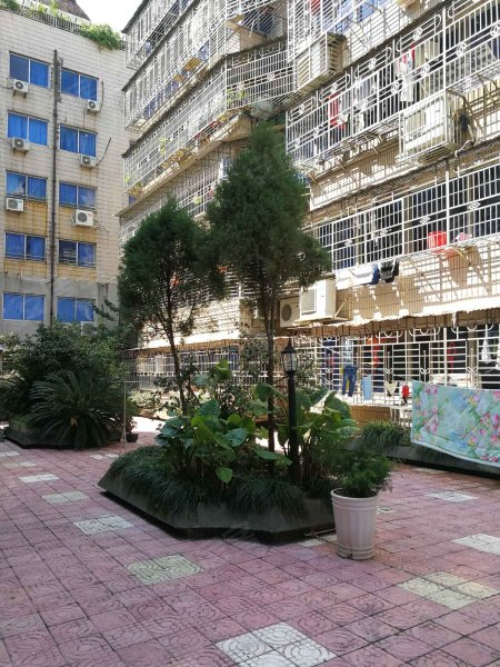 五洲大厦,小南路280号-温州五洲大厦二手房,租房,房价-温州安居客